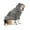 Gray, variant on Pet Pj - Teddy Bear Pet Pj Chenille Hoodie - Pet - XXLarge (Fits Up to 120 lbs)