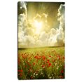 thumbnail image 2 of Wild Poppies on Cloudy Background - Extra Large Landscape Canvas Art, 2 of 3