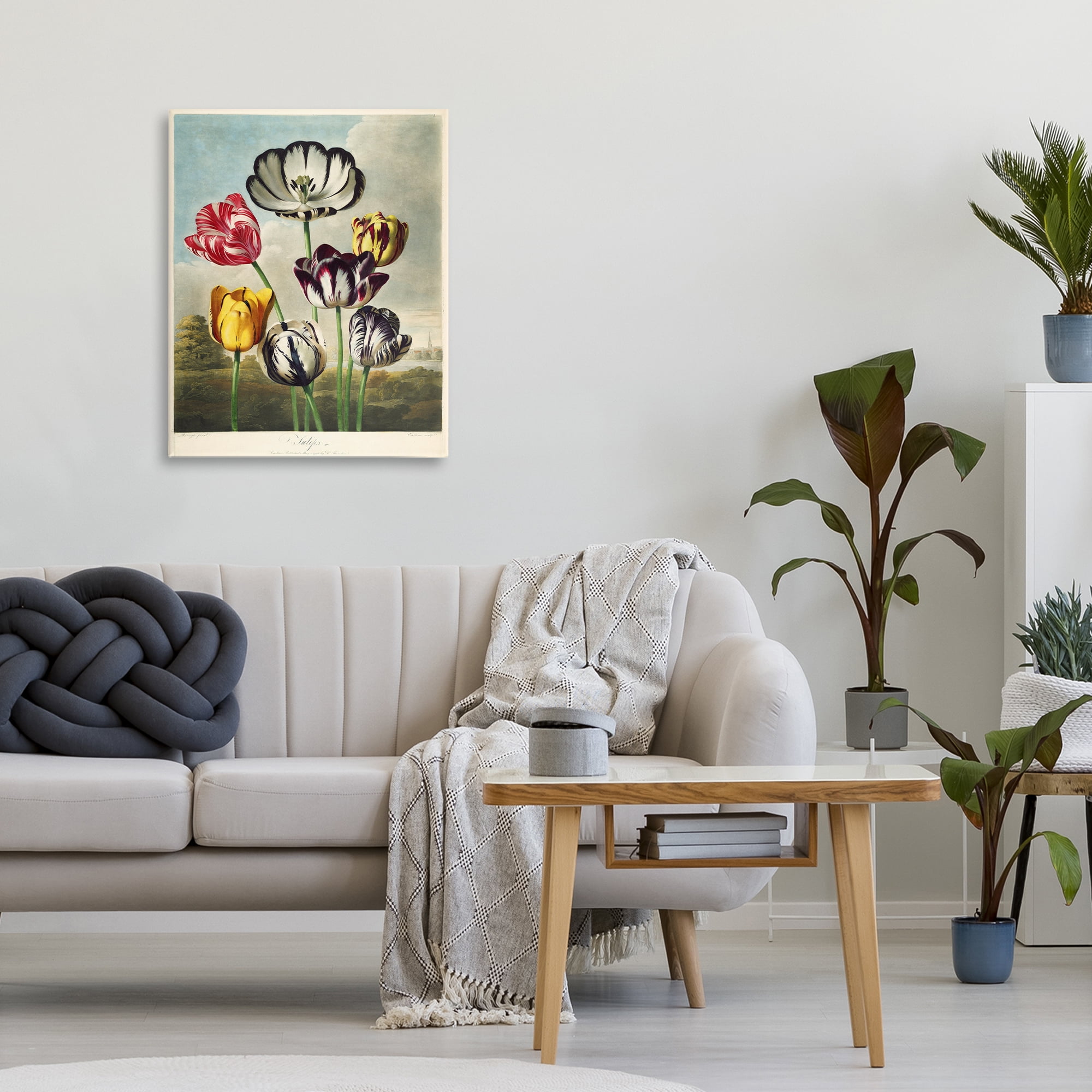 Stupell Industries Tulips From The Temple Canvas Wall Art, design by Print Collection