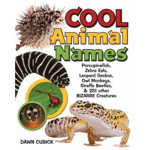 Pre-Owned Cool Animal Names : Porcupine Fish, Zebra Eels, Leopard Geckos, Owl Monkeys, Giraffe Beetles, & 251 Other Bizarre Creatures (Hardcover)