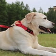 thumbnail image 2 of HAHDAXIA Martingale Collar for Dogs with Quick Release Buckle,Reflective Heavy Duty Puppy Collar for Safety,Adjustable Dog Nylon Collars for Small Medium Large, Breed Dogs Walking Training,Re, 2 of 7