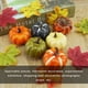 thumbnail image 5 of Moyic 6 unids/set simulación calabaza otoño Mini calabaza conjunto Halloween calabaza Acción de Gracias decoración calabaza Halloween decoración Kits de decoración para fiestas Moyic HA000956-00B, 5 of 6