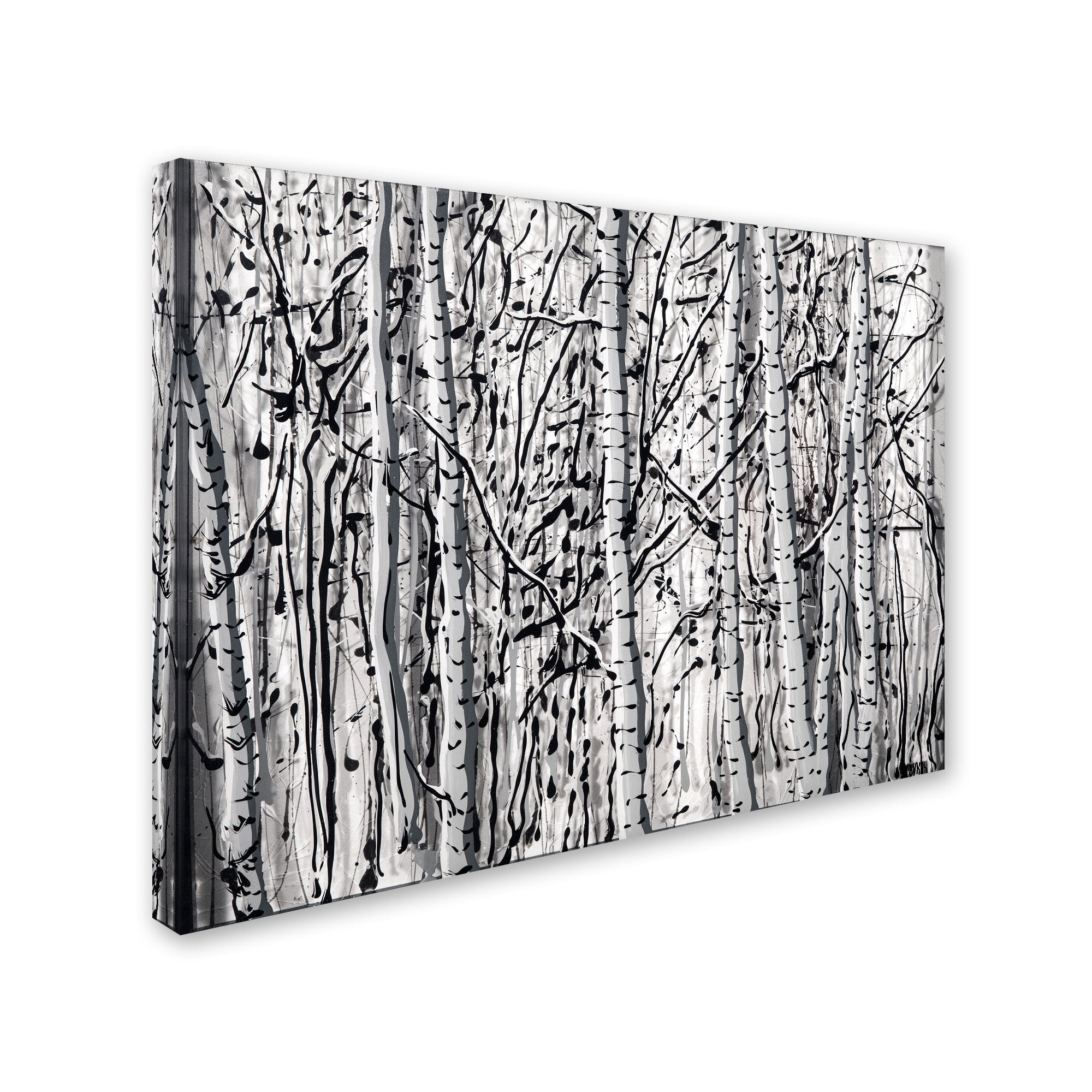 Trademark Fine Art "Winter Aspens" Canvas Art by Roderick Stevens