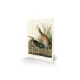 thumbnail image 1 of John James Audubon Salt Water Marsh Hen Wood Plaque, 1 of 1
