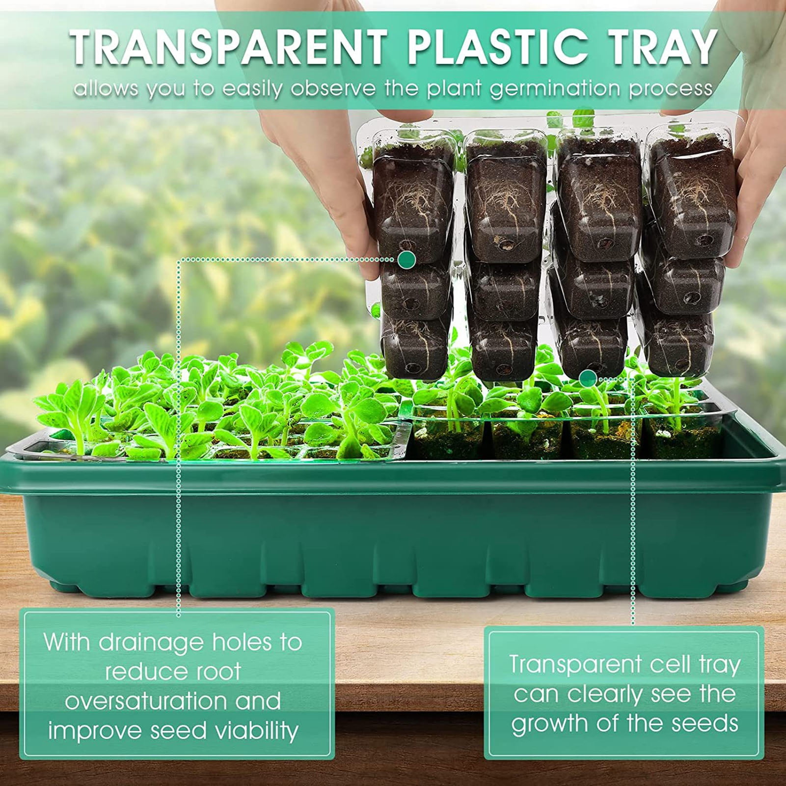 OIUR Plants Nursery Box with Humidity Dome 24 Cells or 48 Cells Transparent Seeds Starter Tray Plant Germination Box with Adjustable Vents for Seedlings Growth