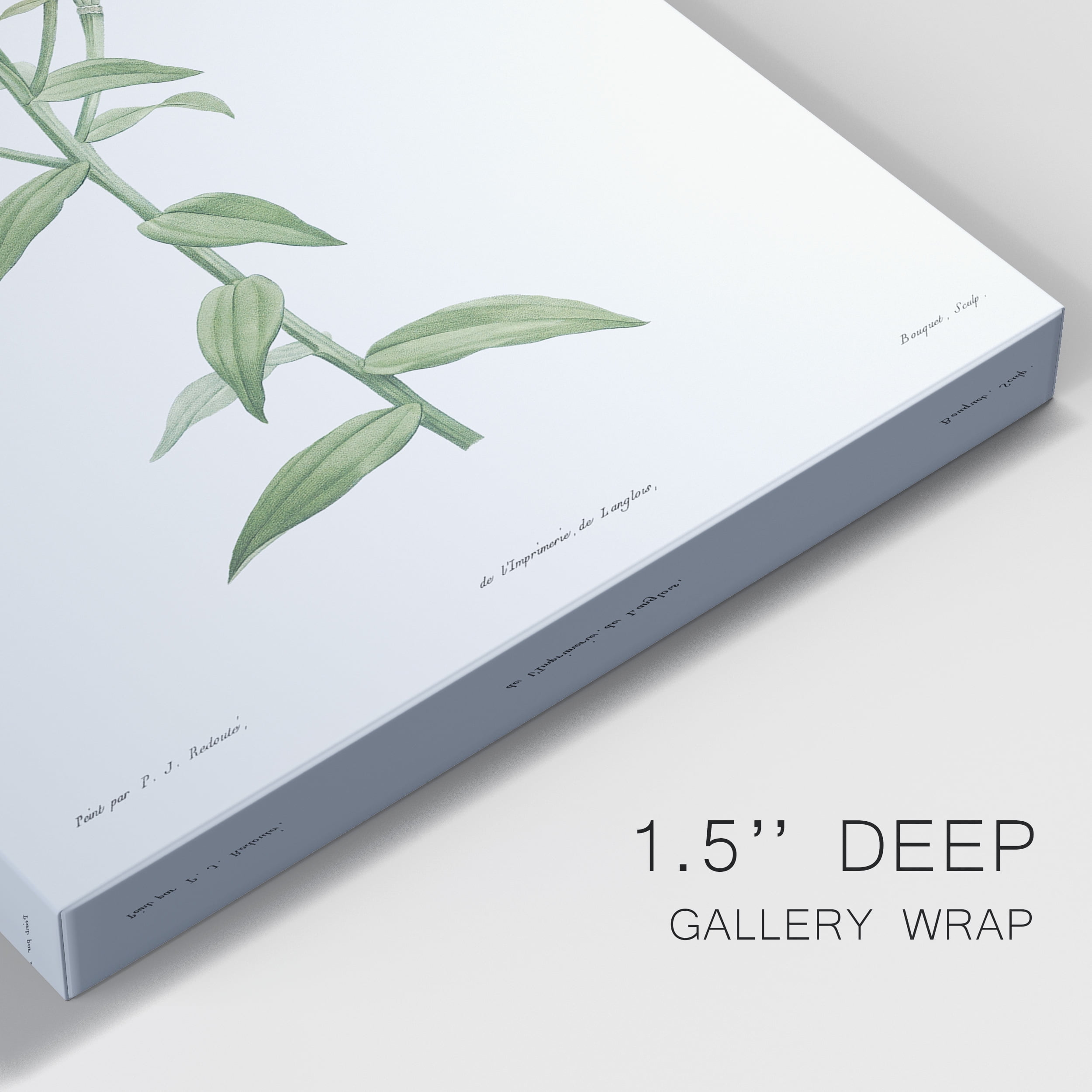Orange Bulbous Lily Premium Gallery Wrapped Canvas - Ready to Hang - 24 x 36