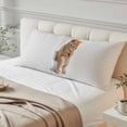 thumbnail image 4 of Funny Cats Body Pillow Covers 20"x54", Cute Art Fun Lovely Animals on Toilets Soft Brushed Microfiber Breathable Throw Pillow Covers, Decorative Pillowcase with Zipper for Couch Sofa Bedroom, 4 of 9