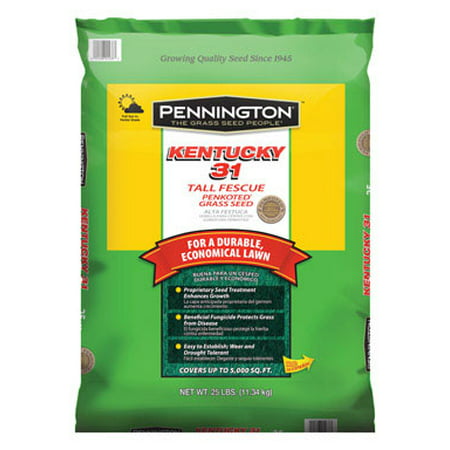 PENNINGTON SEED INC Kentucky 31 Tall Fescue Grass Seed Penkoted 25 lbs