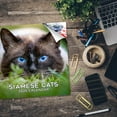 thumbnail image 5 of 2025 2026 Cats Calendar - Cute Animal Monthly Wall Calendar - 12 x 24 Open - Thick No-Bleed Paper - Giftable - Academic Teacher's Planner Calendar Organizing & Planning - Made in USA, 5 of 10