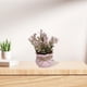 thumbnail image 1 of Plantas Artificiales De Plástico En Maceta Mini flor artificial rosa en maceta, pequeña planta de estilo floral para decoración del hogar y accesorios de fotografía (1 unidad) JASKFLY, 1 of 8