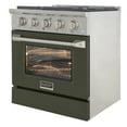 thumbnail image 4 of 30 in. 4.2 cu. ft. Dual Fuel Range Natural Gas Sealed Burners in Olive Green ., 4 of 14
