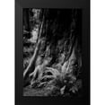 thumbnail image 2 of Rowland, Joseph 11x14 Black Modern Framed Museum Art Print Titled - Ancient Trunk, 2 of 5