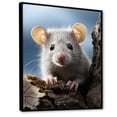 thumbnail image 2 of Designart "Rodent Portrait White Cute wall art II" Animals Floater Framed Canvas Print, 2 of 7
