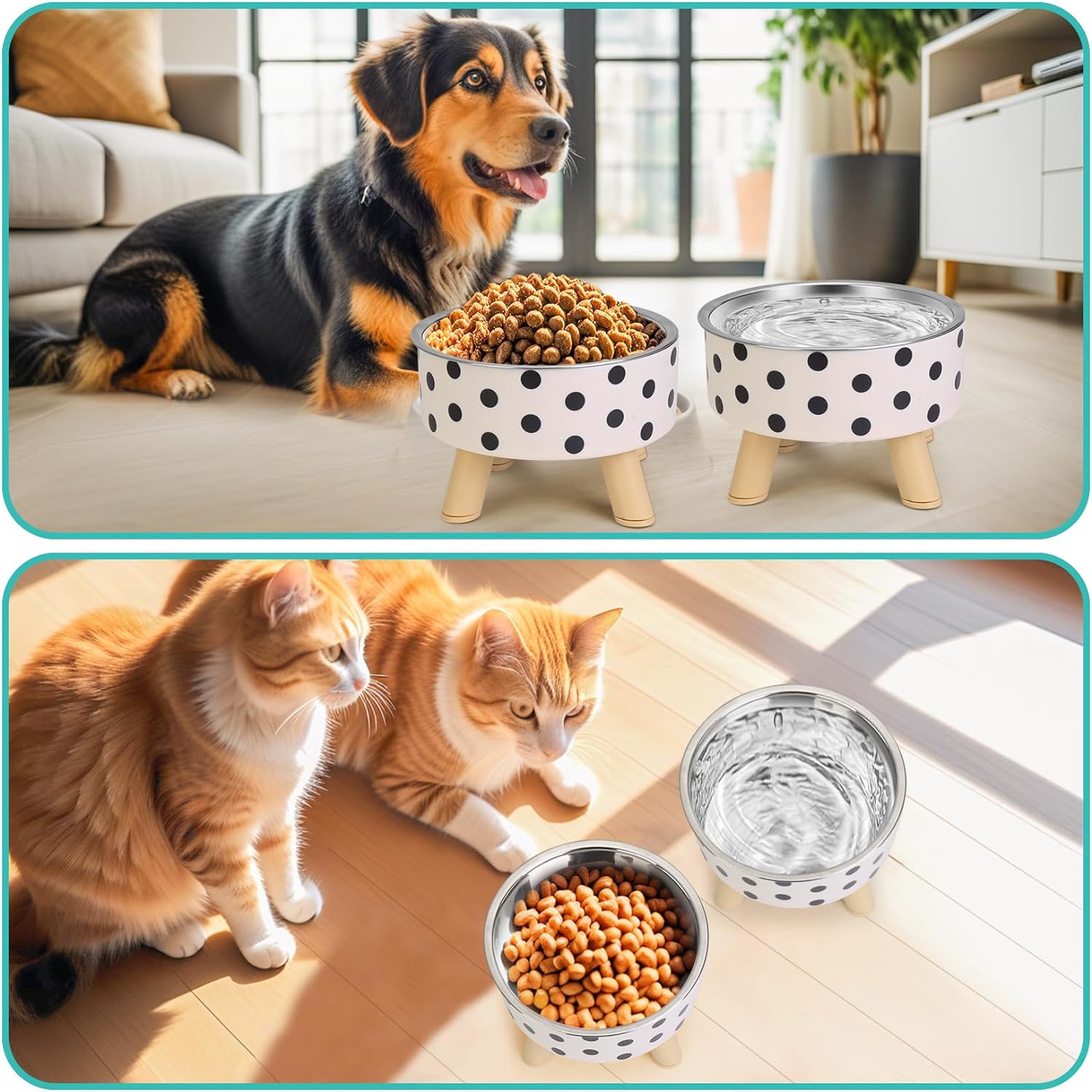 Flantor Elevated Stainless Steel Pet Bowl Set, 2-Piece photo 4