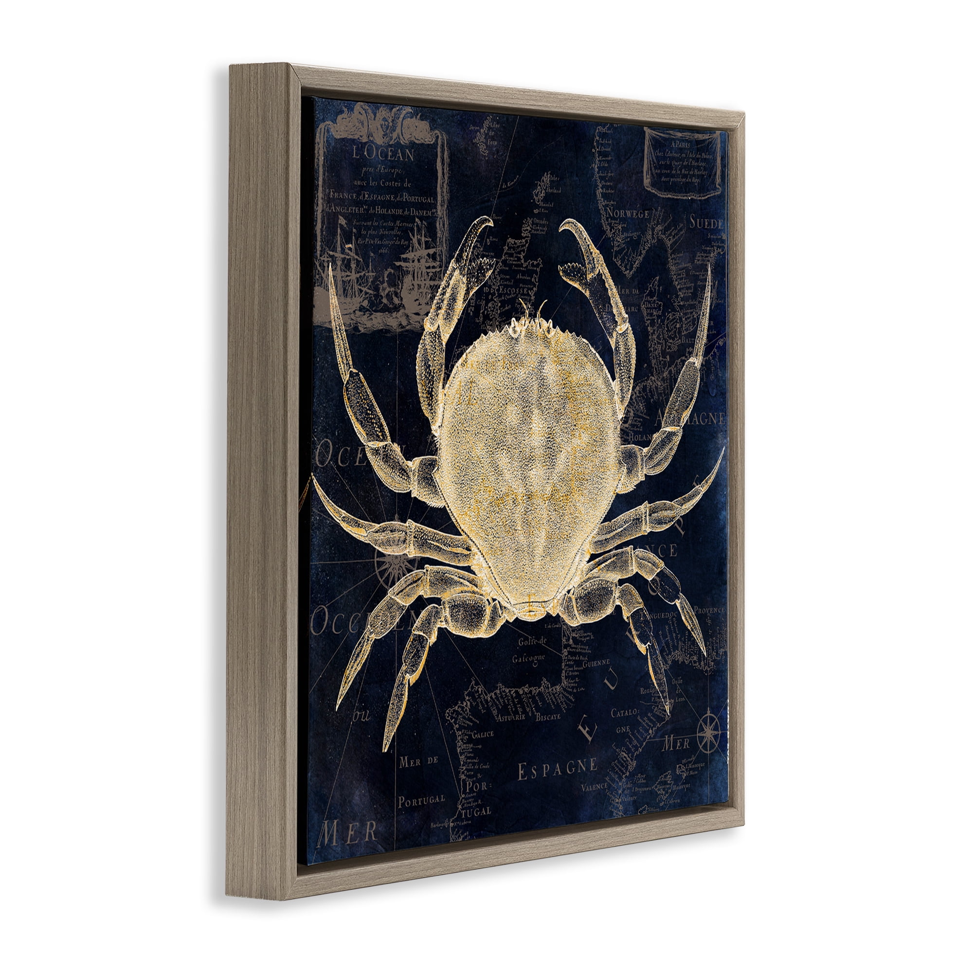 Crab Contour over Map Brown Framed Floater Canvas Wall Art, design by Sasha
