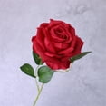 thumbnail image 2 of Realistic Artificial Roses in Bulk, Fabric Long Stem Roses with Leaves for Home Wedding Decor, Floor Vase Arrangement And Centerpiece Flowers Harlik, 2 of 9