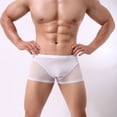 thumbnail image 7 of khonts,Men's Sexy Boxer Briefs See Through Underwear Sheer Mesh Low Rise Underpants White XL, 7 of 7