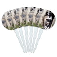 thumbnail image 1 of Border Collies Window Dogs Cupcake Picks Toppers Decoration Set of 6, 1 of 7