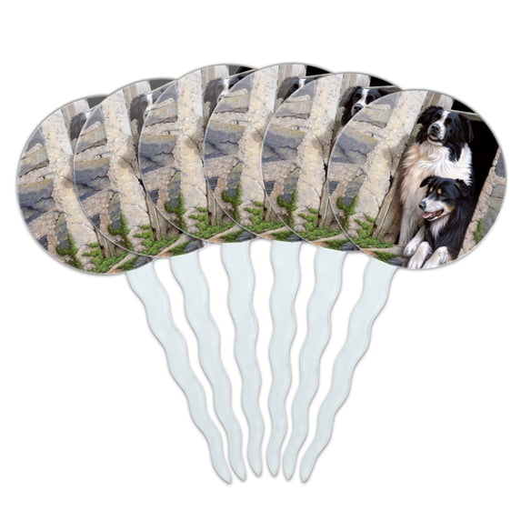 Border Collies Window Dogs Cupcake Picks Toppers Decoration Set of 6