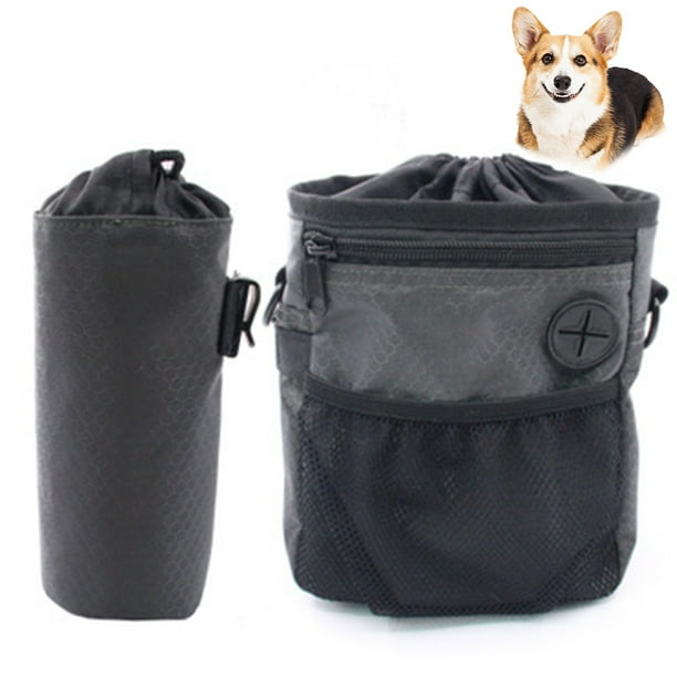 Dog carrying treat hot sale around
