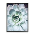 thumbnail image 2 of Stupell Industries Succulent Leaves Water Droplets Botanical & Floral Photography White Framed Art Print Wall Art, 2 of 5
