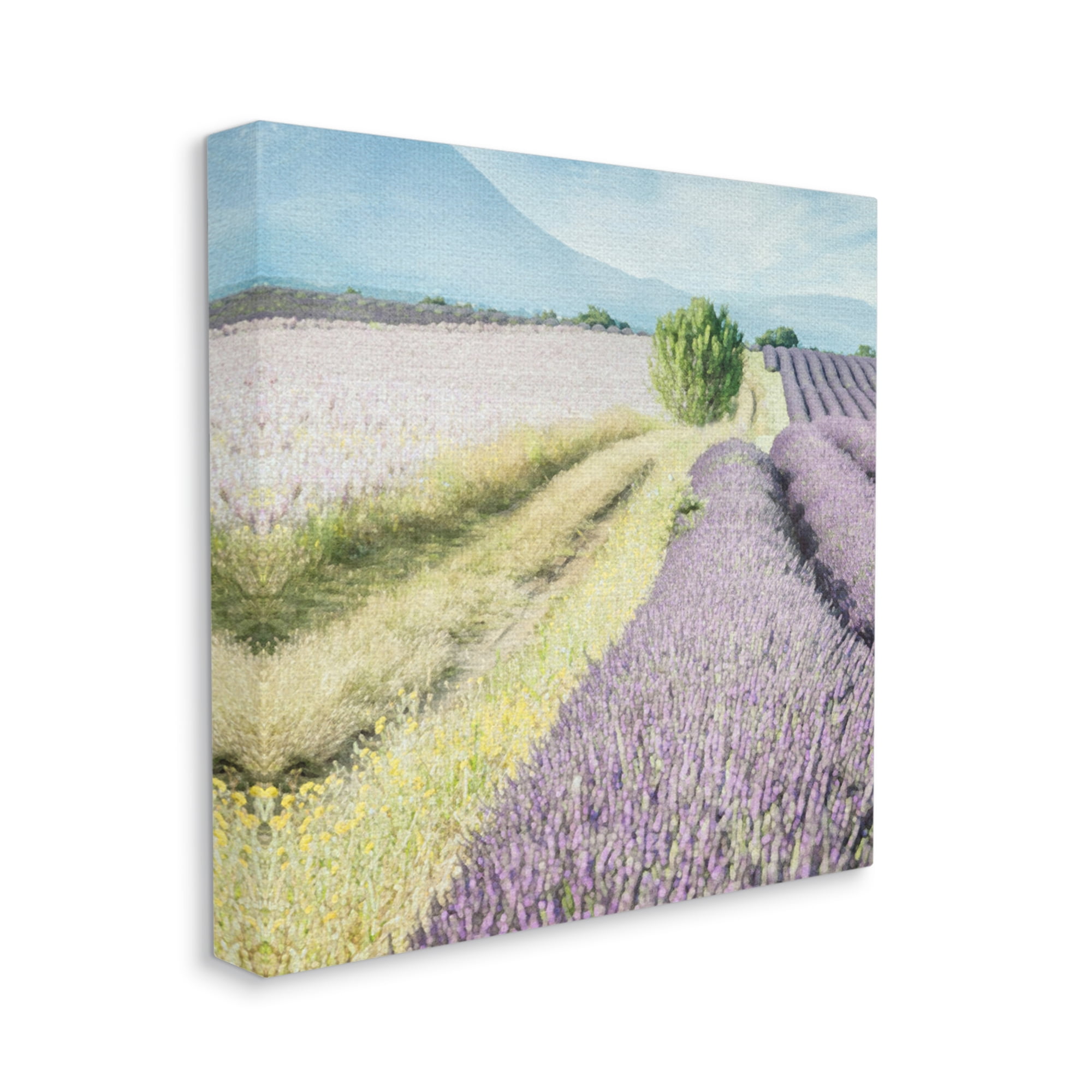 Stupell Industries Country Lavender Fields Nature Painting Gallery Wrapped Canvas Print Wall Art, 36 x 36