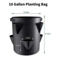 thumbnail image 2 of 5 Gallon Strawberry Growing Bags, Thickened Non-Woven Plant Growing Bags, Indoor and Outdoor Growing Pots, 2 of 5