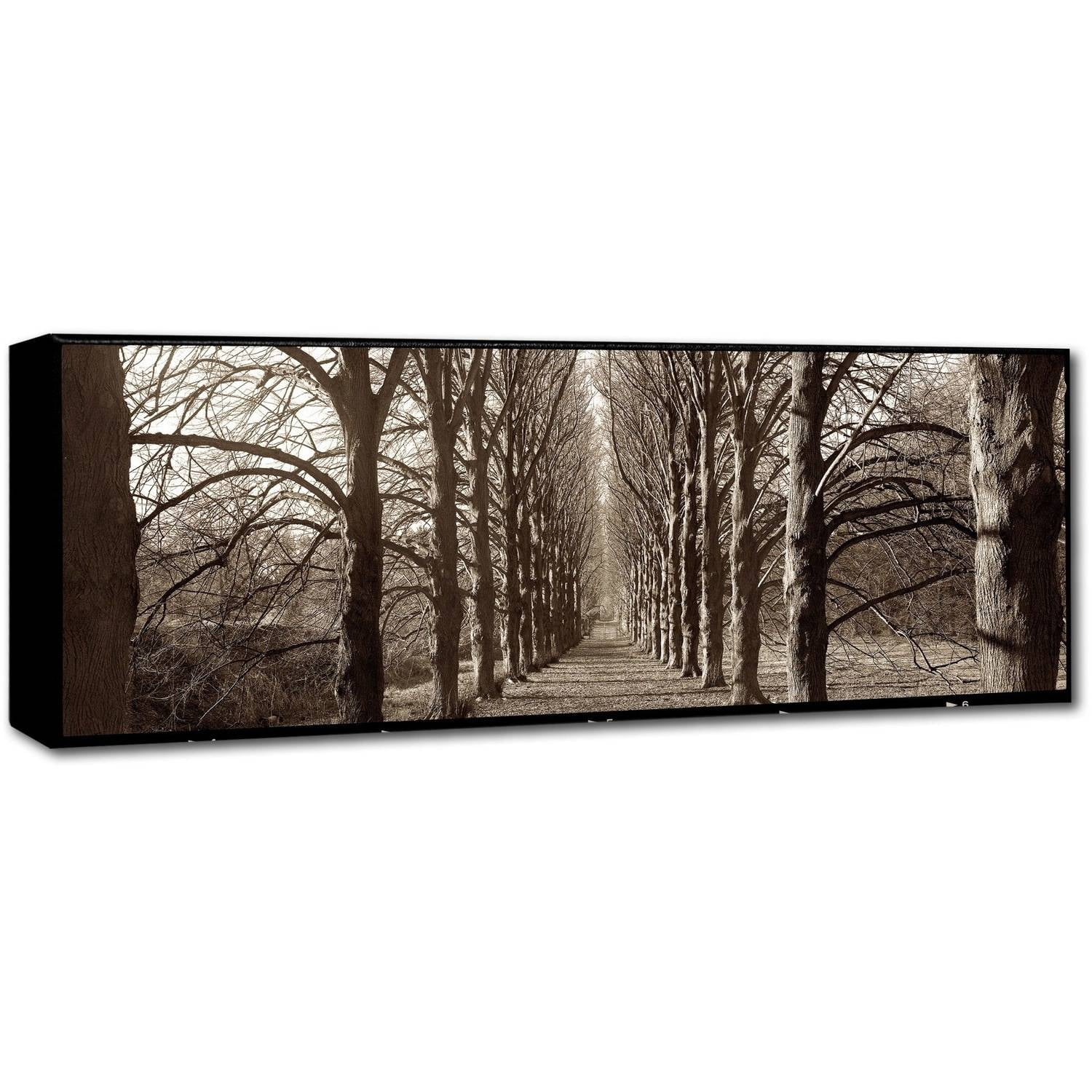 Trademark Fine Art "Hampton Gates Promenade I" Canvas Art by Alan Blaustein
