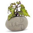 thumbnail image 1 of Planteur de Tête Endormie, 1 of 2