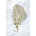 thumbnail image 3 of Murdock, Ramona 11x14 Black Modern Framed Museum Art Print Titled - Feathery Sea Fern II, 3 of 5