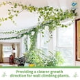 thumbnail image 4 of Deago 50 Pcs Plant Climbing Wall Fixture Clips Self-Adhesive Hook Vines Traction Leaf Shaped Invisible Holder for Home Decoration and Wire Fixing Cable Organizer, 4 of 8