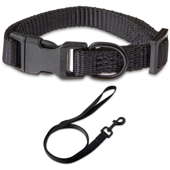 Vibrant Life Solid Polyester Adjustable Dog Collar, with 4ft Dog Leash, Black, Extra Small