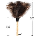 thumbnail image 2 of Plumero iHuFeather, plumas de avestruz, 35 cm, color natural, 10 unidades, 2 of 6