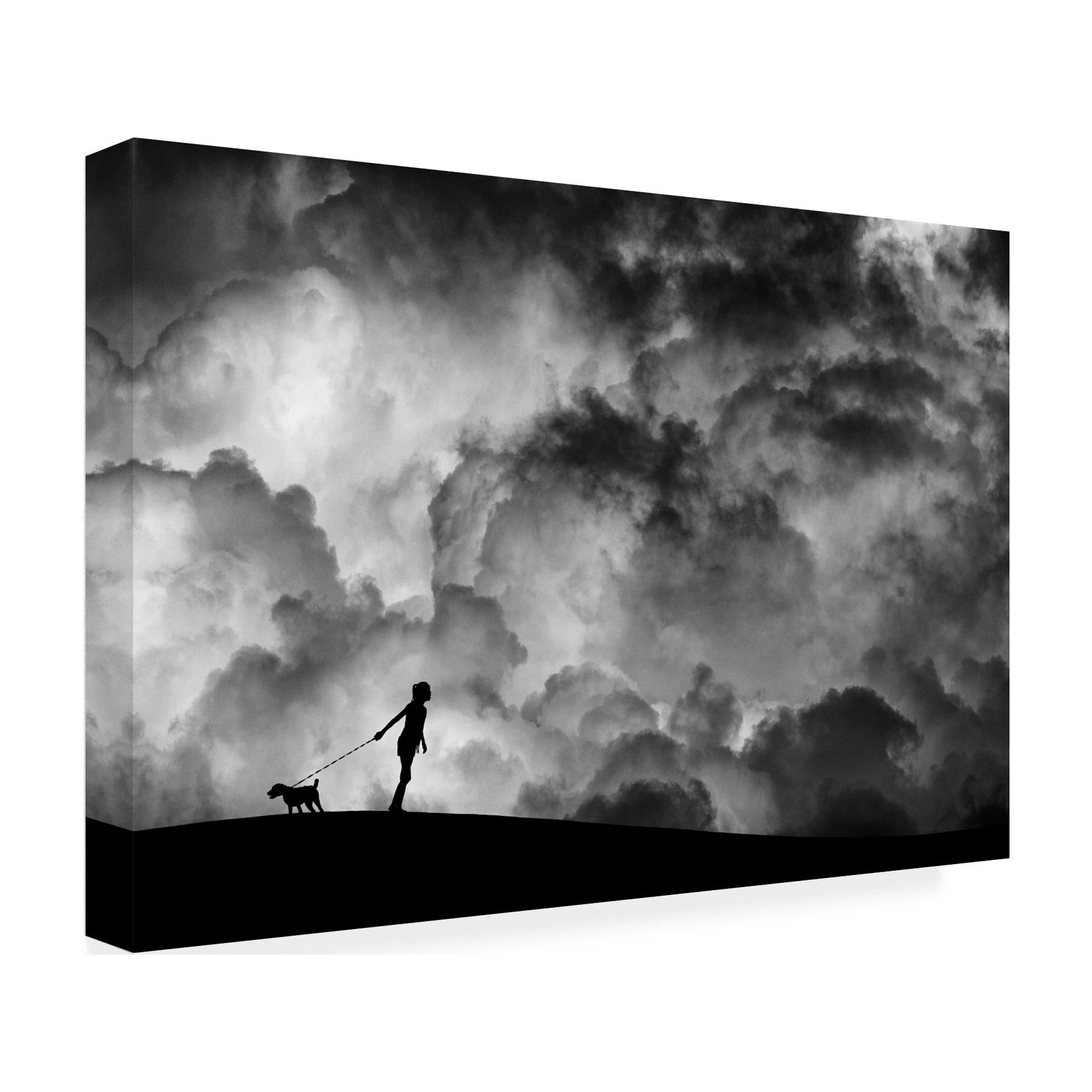 Trademark Fine Art Hengki Lee Prelude To The Dream Canvas Wall Art - 22x32