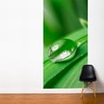 thumbnail image 4 of ADZif Fresk Pure Wall Mural, 4 of 5