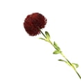 thumbnail image 1 of BotaniNest Dianthus Faux Soft Green For Home And Display, 1 of 3