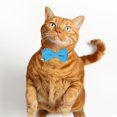 thumbnail image 6 of Mumup 2 Pcs Red Cat Collar for Boy Girl Cats Breakaway Cat Collars with Bell Cute Christmas Kitten Bow Tie Collar Adjustable Small Puppy Safety Collar Solid Color Plaid Pet Collar, 6 of 7