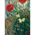 thumbnail image 2 of Van Gogh, Vincent 24x32 White Modern Wood Framed Museum Art Print Titled - Butterflies And Poppies, 2 of 4