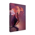 thumbnail image 2 of Trademark Fine Art 'Dreams Of Spring' Canvas Art by Kirk Reinert, 2 of 3