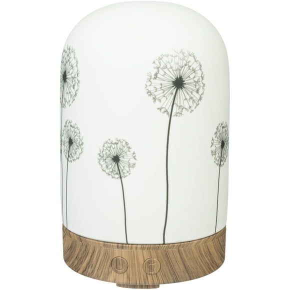 ScentSationals Diffuser, Wish 100 mL