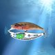 thumbnail image 5 of 4 Uds. Cebo Artificial LED cebo luminoso LED Pesca nocturna (estilo B), 5 of 5