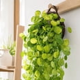 thumbnail image 4 of BingTong Artificial Hanging Ivy Vine Plant, Faux Round Leaf Green Wall Hanging Basket Foliage, No Maintenance Fake Trailing Greenery for Indoor Wall Decor B, 4 of 7