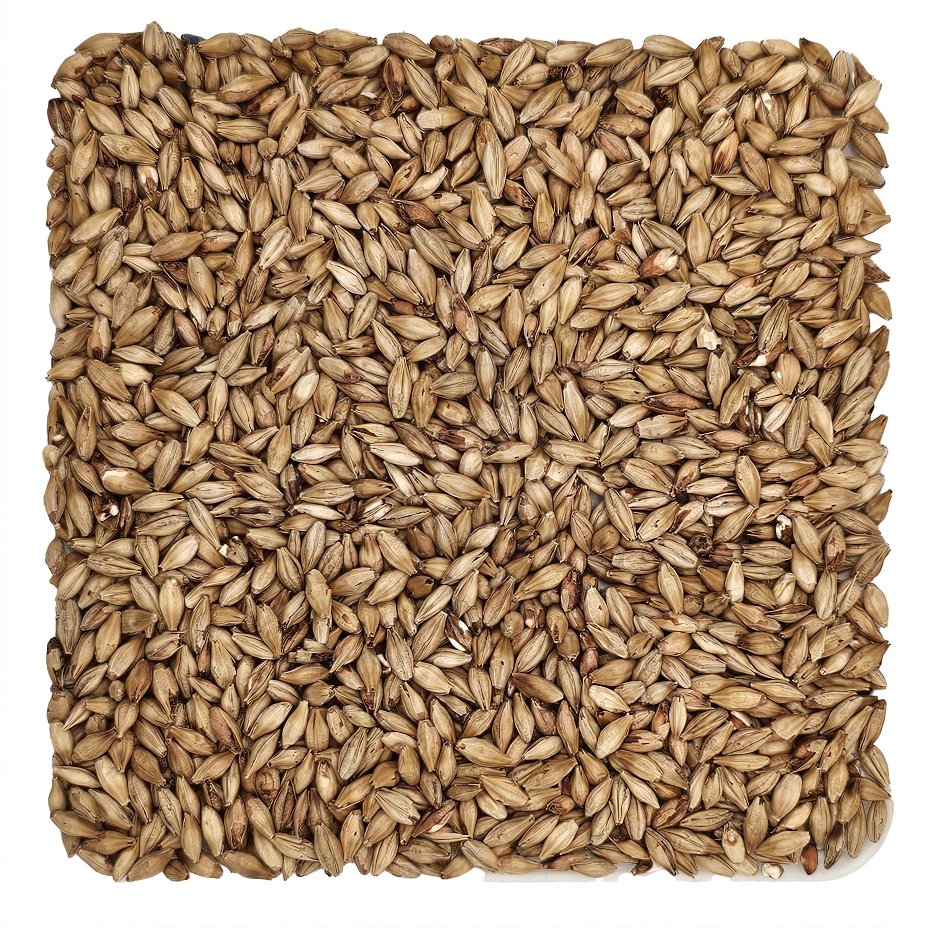 Home Brew Ohio Munich Dark 15L Grain 10lb
