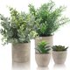 thumbnail image 1 of TOPOST Plantas Artificiales Decorativas Hogar, Macetas Decorativas Interior para Ba&ntilde;o, Sala y Oficina Escritorio, 1 of 7