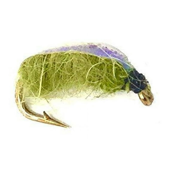 Feeder Creek Fly Fishing Nymph Electric Caddis for Trout, Bass, and Panfish - 12 Wet Flies in 3 Sizes
