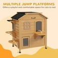 thumbnail image 6 of PawHut Outdoor Wooden 2-Story Cat House, Wooden Door, Openable Roof, Jumping Platforms, Natural, 6 of 9