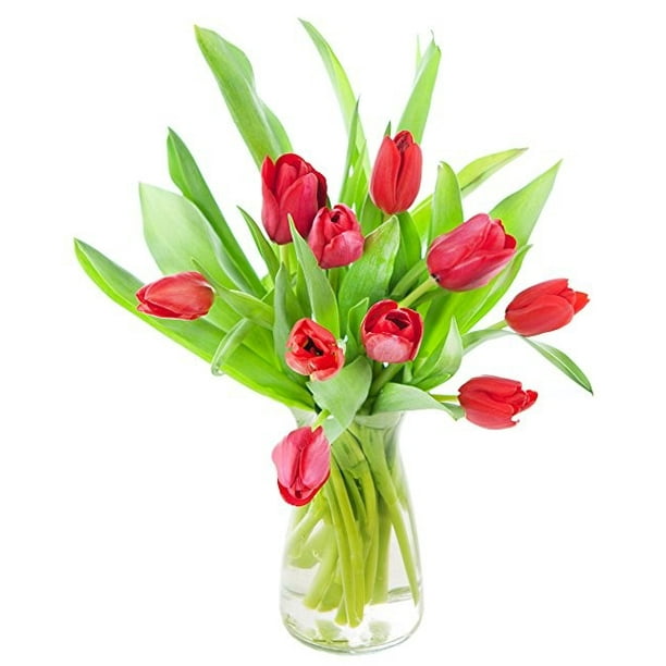 KaBloom Mother's Day Collection: Bouquet of Fresh Red Tulips with Vase ...