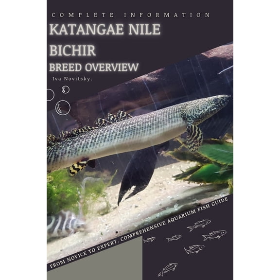 Katangae Nile Bichir: From Novice to Expert. Comprehensive Aquarium Fish Guide (Paperback)