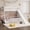 White, variant on HICOMILA Twin Over Full Bunk Bed with Slide, Storage Staircase, Pine Solid Wood Bunk Bed with Safety Guardrails, No Box Spring Needed, White/Grey