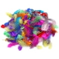 thumbnail image 6 of 120PCS Colorful Spotted Feathers 2-5 in, 10 Colors Chicken Feather for DIY Crafts Clothing Jewelry Wedding Party Decorations, 6 of 7
